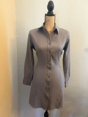 Evolutionary Gray Pin-stripe Shirt Dress
